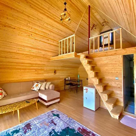 Wonderful Bungalow With Private Pool, Garden And Bbq In アパート フェティエ